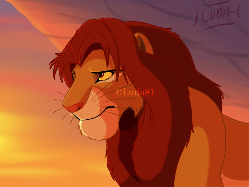 Et encore un Simba