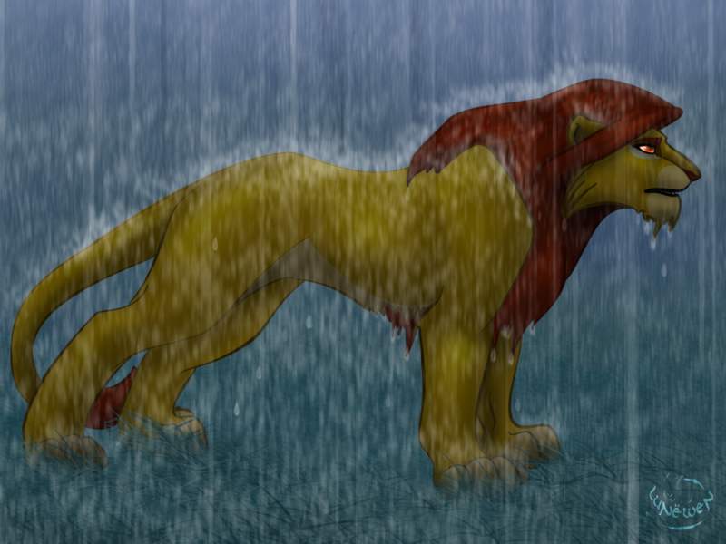 In rain