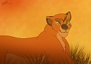 Gift : The Wanderer