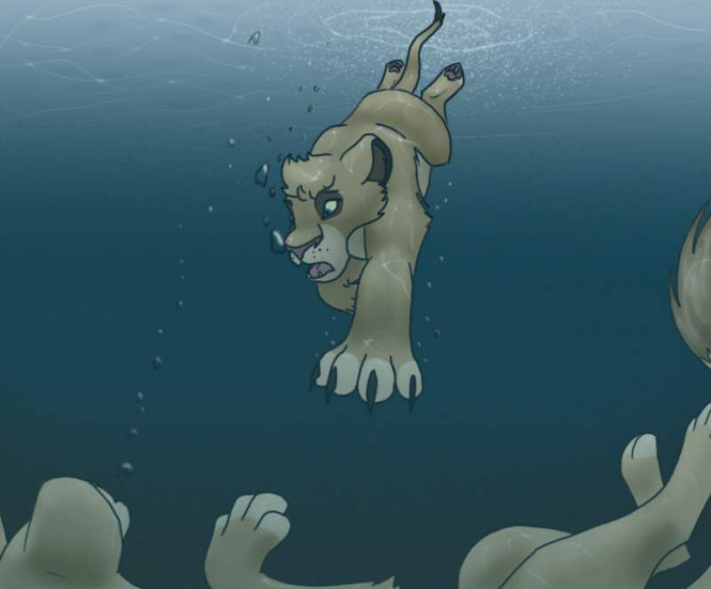 The Rescue