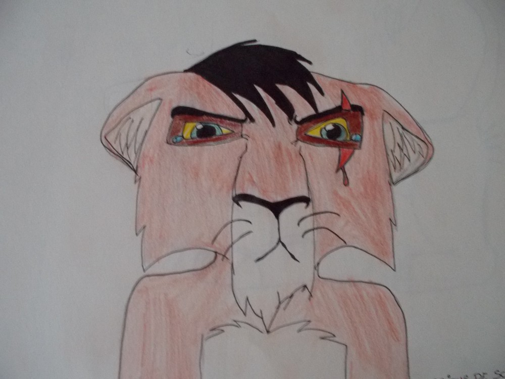 Scar/Taka