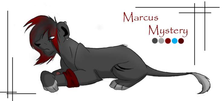 Marcus Mystery
