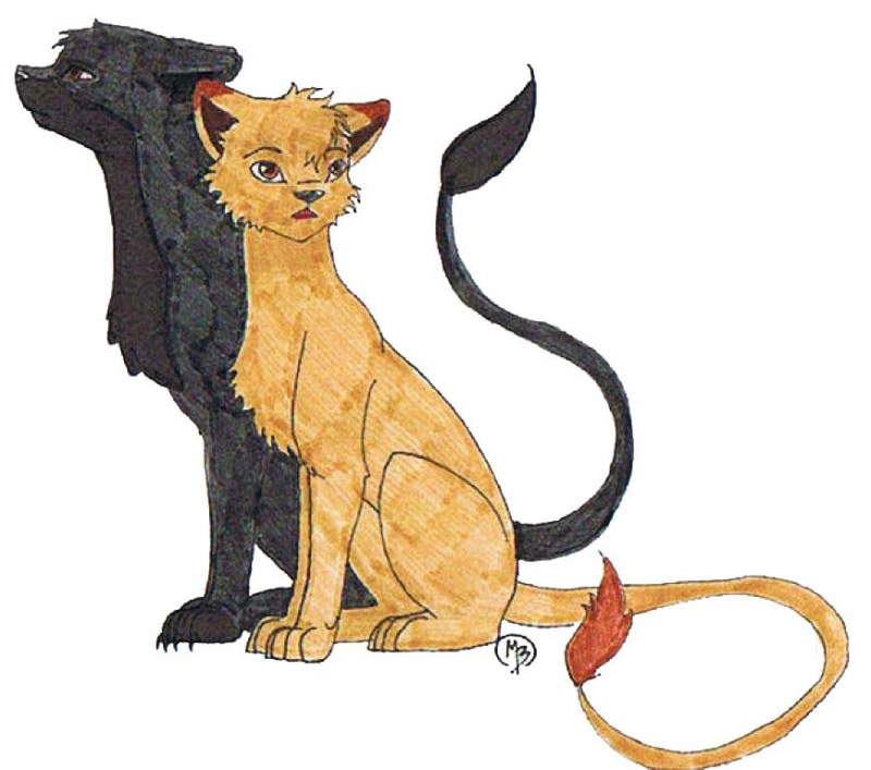 Zuru and Meehan
