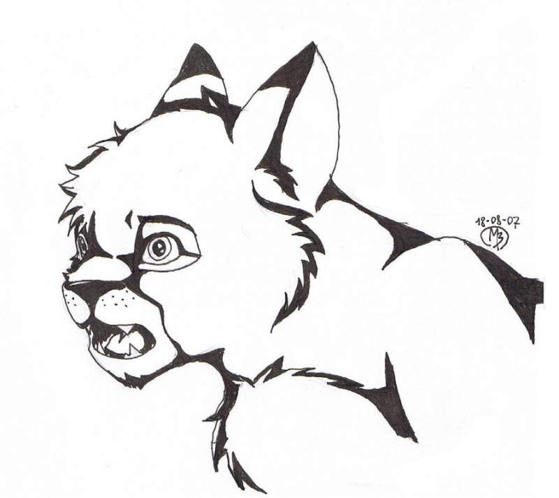 A lion