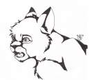 A lion