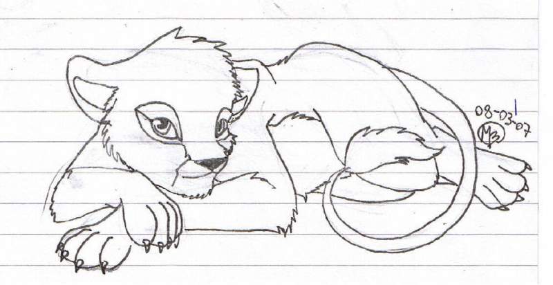 A lioness