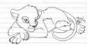 A lioness