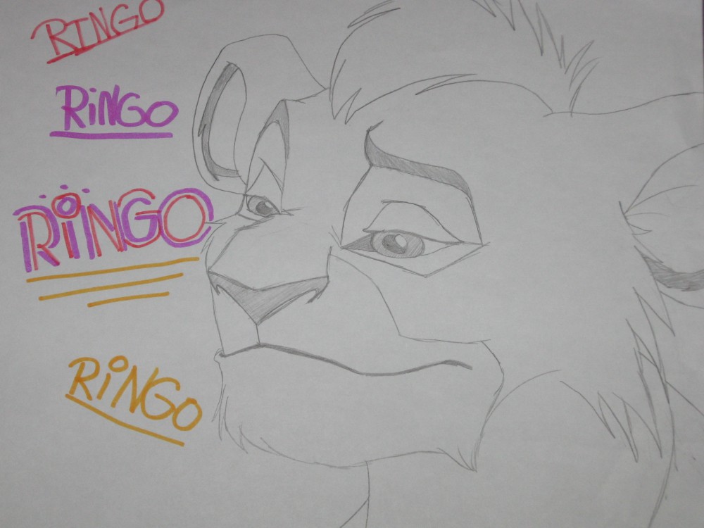 Ringo !