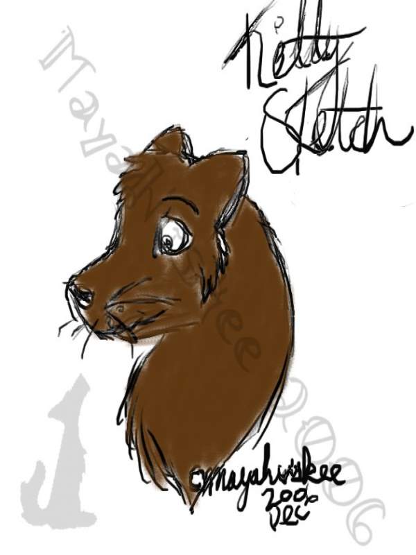 Kitty Sketch Coloured