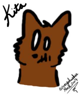 Kita Cougar