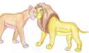 Koya and Taria