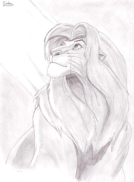 Simba-DVD cover