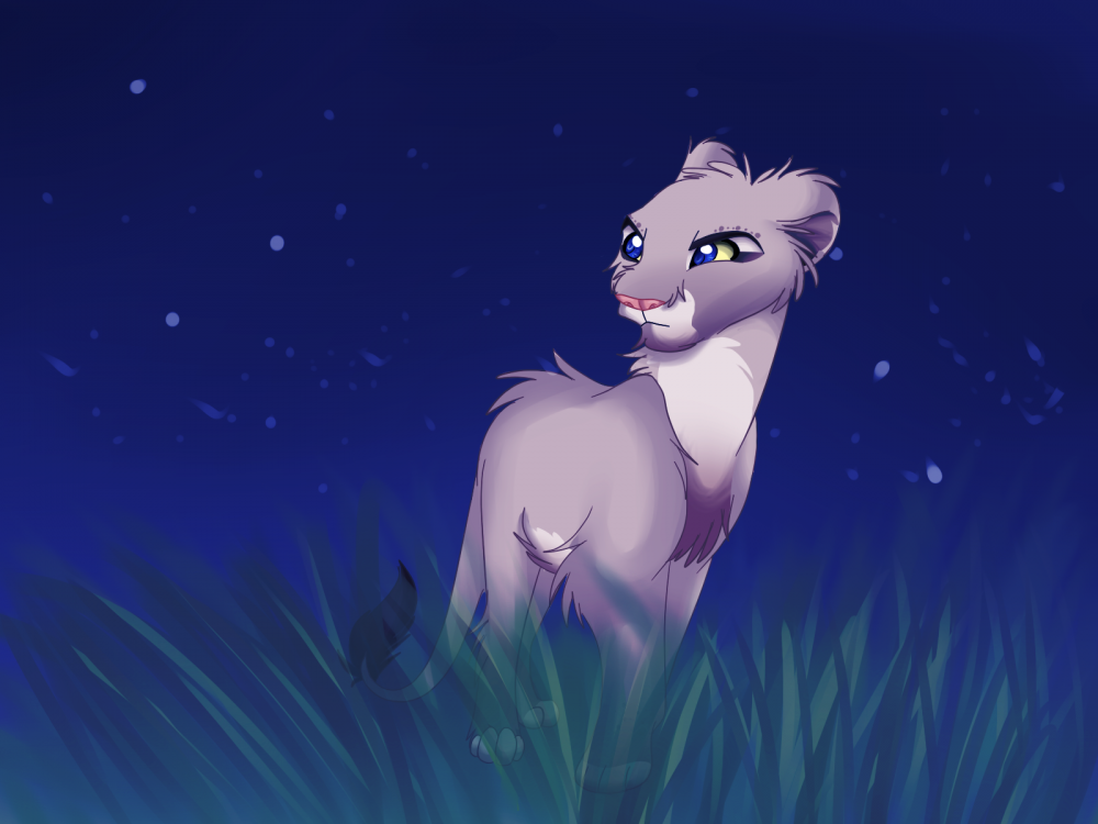 Night time patrol
