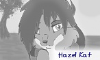 Hazel-Kat