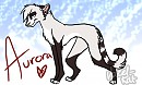 AURORADERP
