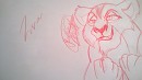 Zira sketch