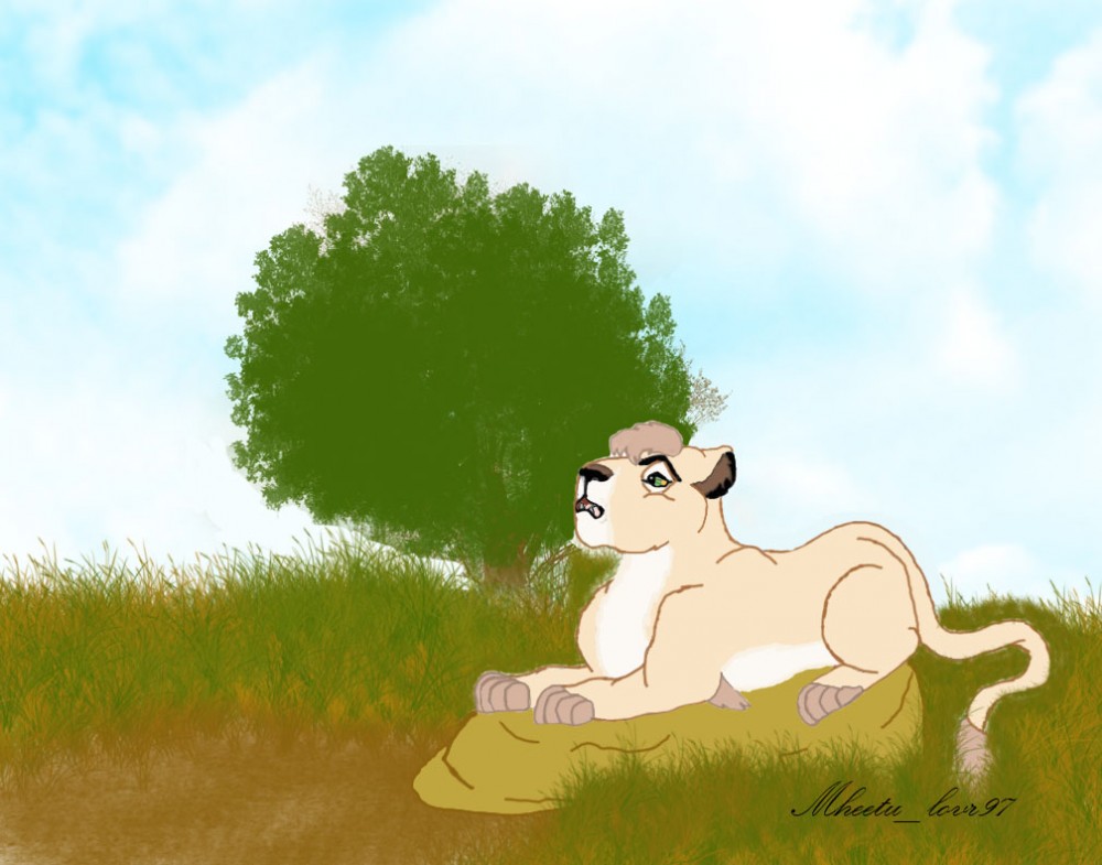 Mheetu's Afternoon Nap