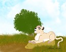 Mheetu's Afternoon Nap