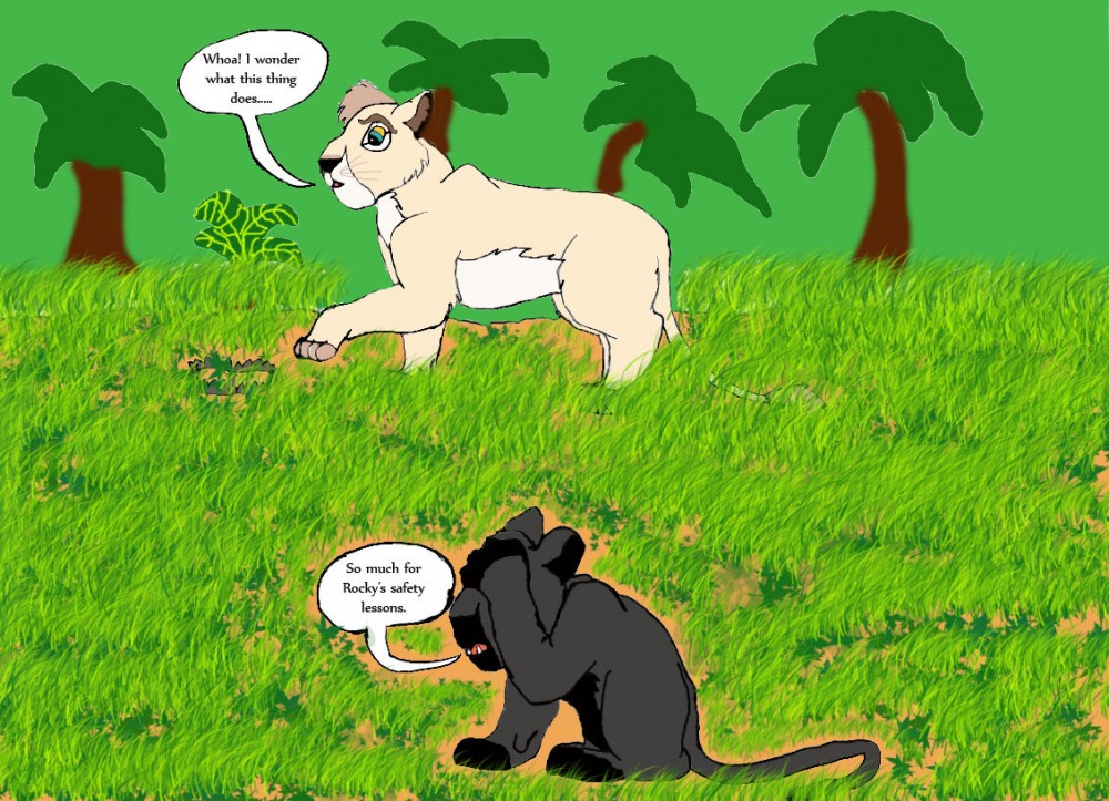 Curiousity Killed The Cat - Or Should We Say Lion?