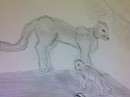 puma and cub