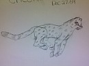 Cheetah