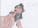 Scar