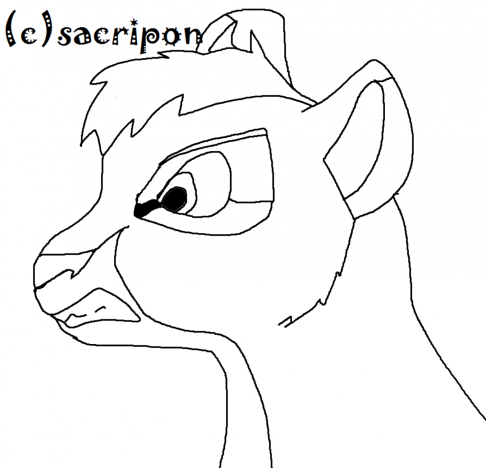lineart lionceau outlander ( male)