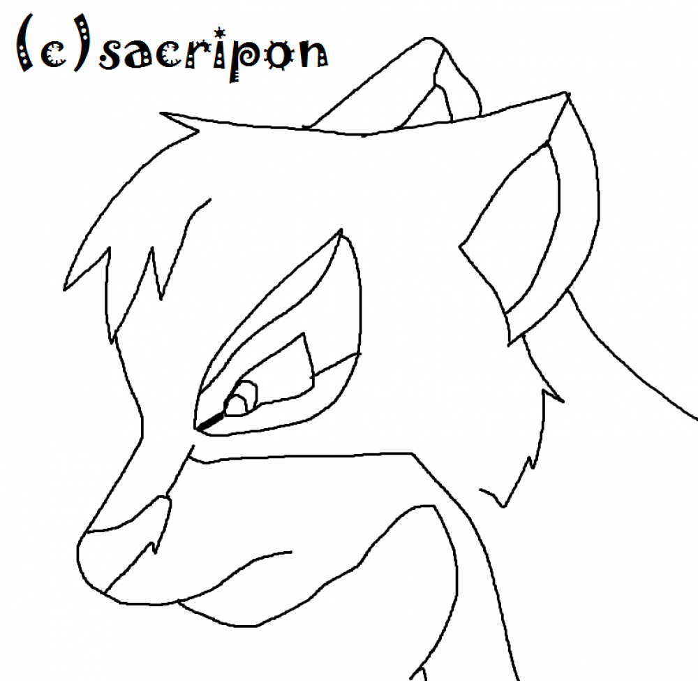 lineart lionceau outlander ( femelle )