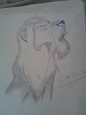 pour scar222 (je crois XDDDD)