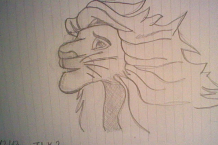 First ever Simba drawing!