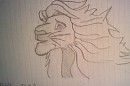 First ever Simba drawing!