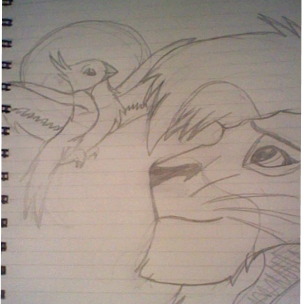 First ever adult Kovu drawing