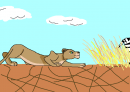 zira hunting