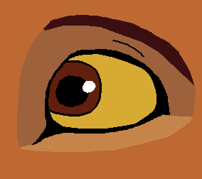 Kiara's eye