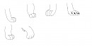 TLK Paw Study