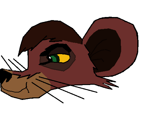 Cub kovu's head