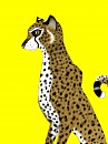 Chetah