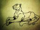 lionne tranquille