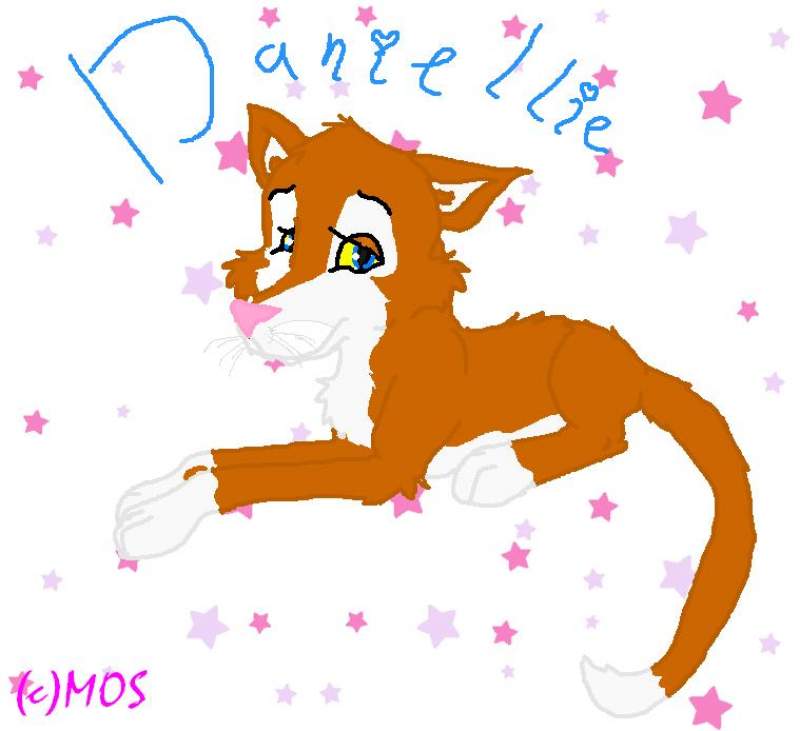 Me as a cat