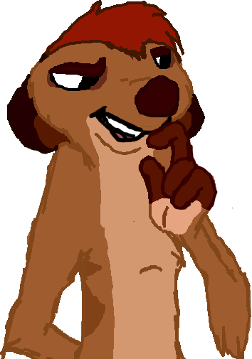 A picture of timon