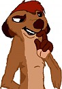 A picture of timon