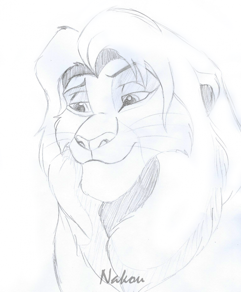 Sketch Simba pour Grey wolf