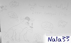 nala33