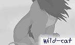 wild-cat