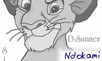 ndokami