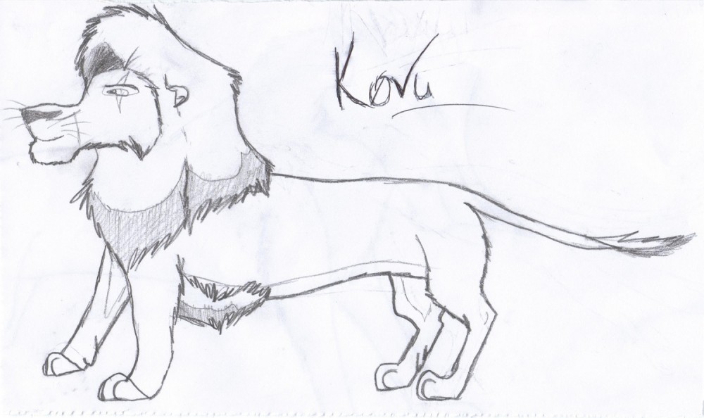 Kovu - version noir & blanc