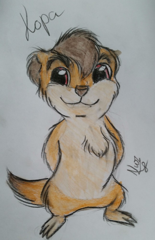 Kopa (Badger version)