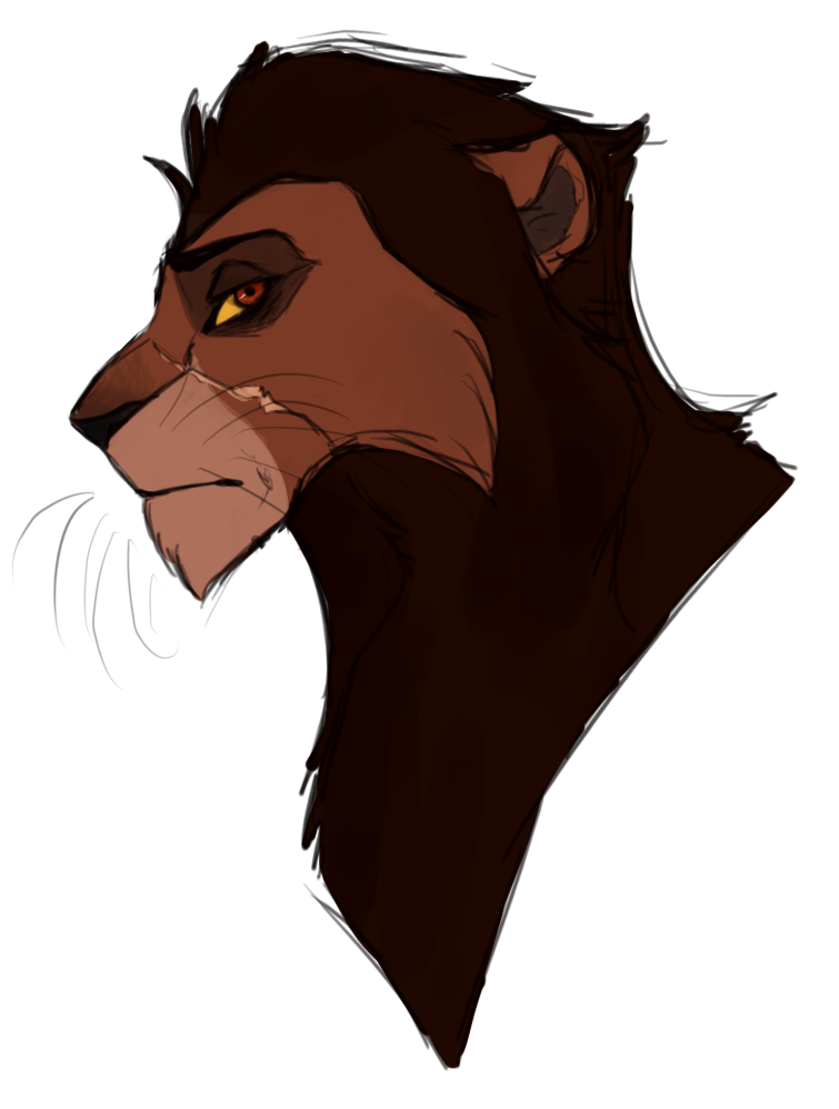 Asim Doodle