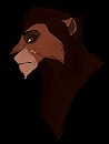 Asim Doodle
