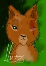 Taka/Scar as a lynx 